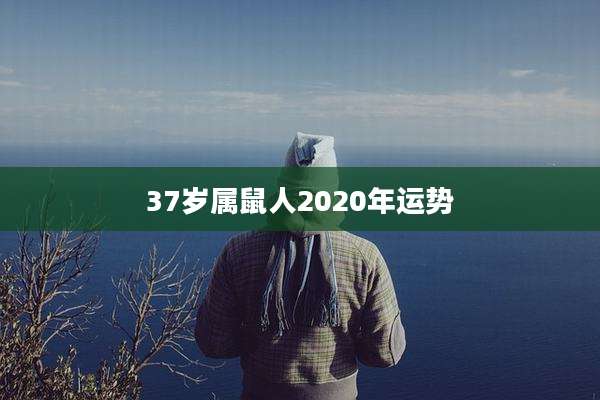 37岁属鼠人2020年运势