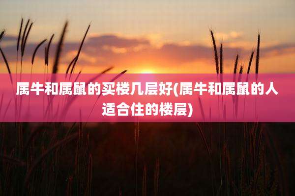 属牛和属鼠的买楼几层好(属牛和属鼠的人适合住的楼层)