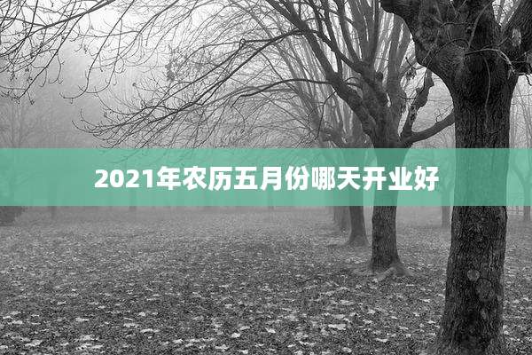 2021年农历五月份哪天开业好