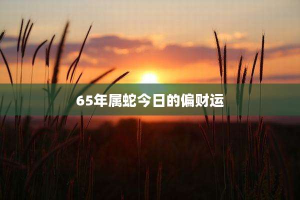 65年属蛇今日的偏财运