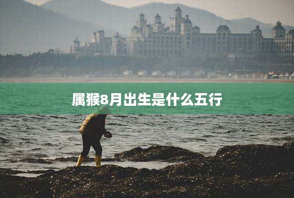 属猴8月出生是什么五行