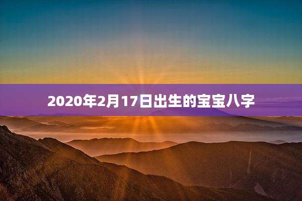 2020年2月17日出生的宝宝八字