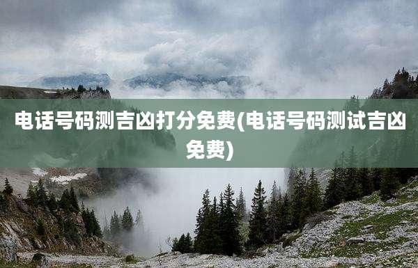 电话号码测吉凶打分免费(电话号码测试吉凶免费)