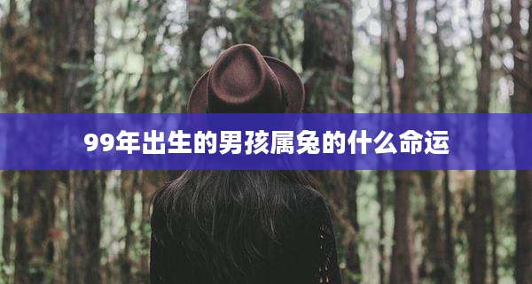 99年出生的男孩属兔的什么命运
