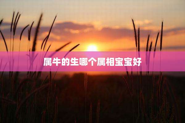 属牛的生哪个属相宝宝好