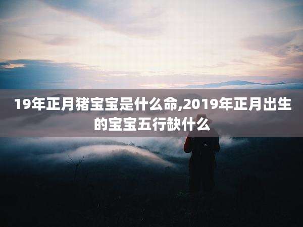 19年正月猪宝宝是什么命,2019年正月出生的宝宝五行缺什么