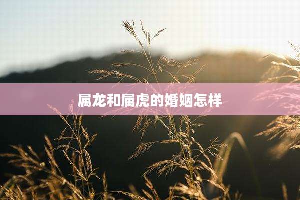 属龙和属虎的婚姻怎样