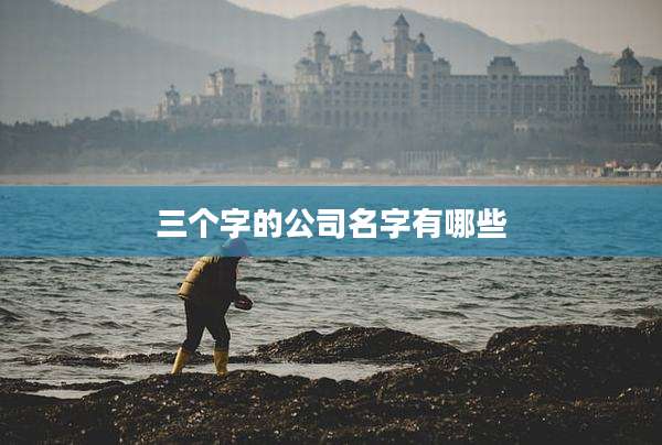 三个字的公司名字有哪些