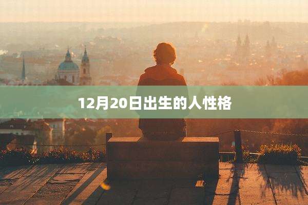 12月20日出生的人性格