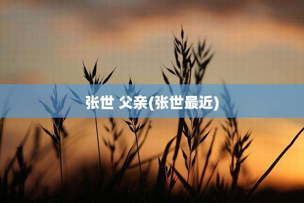 张世 父亲(张世最近)