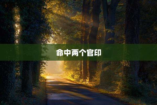 命中两个官印