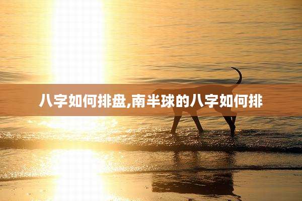 八字如何排盘,南半球的八字如何排