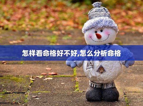 怎样看命格好不好,怎么分析命格