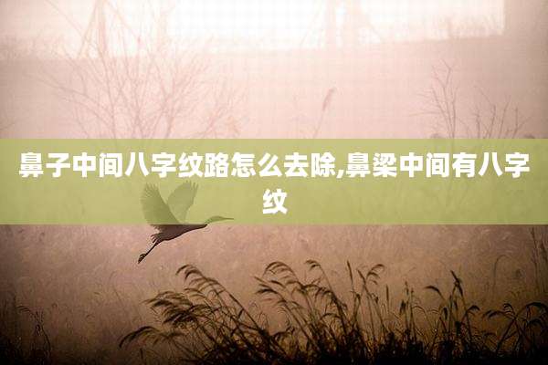 鼻子中间八字纹路怎么去除,鼻梁中间有八字纹