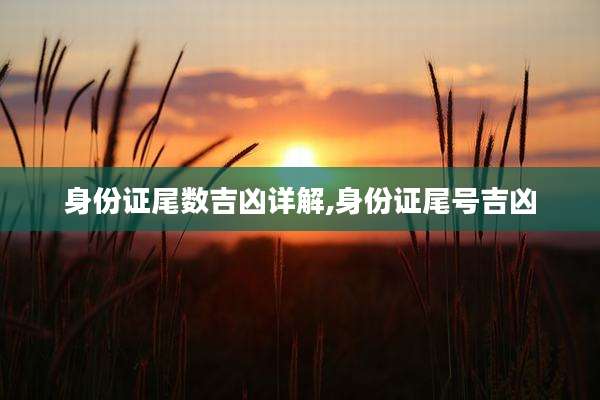 身份证尾数吉凶详解,身份证尾号吉凶