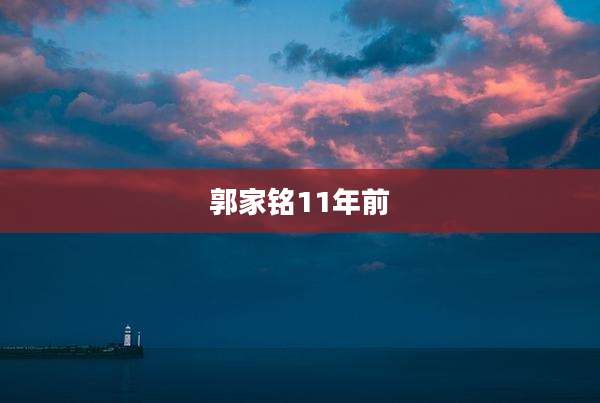 郭家铭11年前