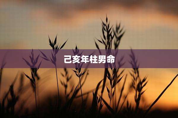 己亥年柱男命