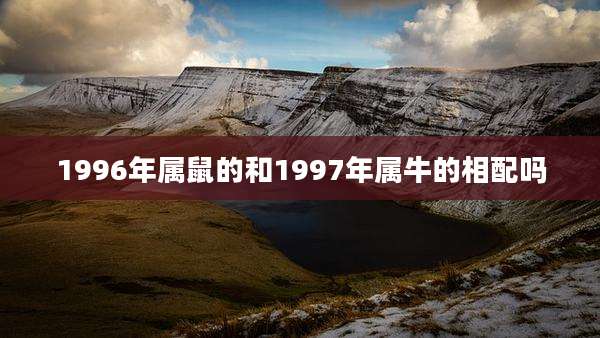 1996年属鼠的和1997年属牛的相配吗
