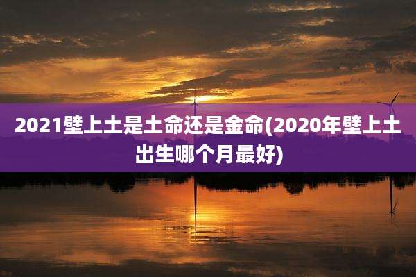 2021壁上土是土命还是金命(2020年壁上土出生哪个月最好)