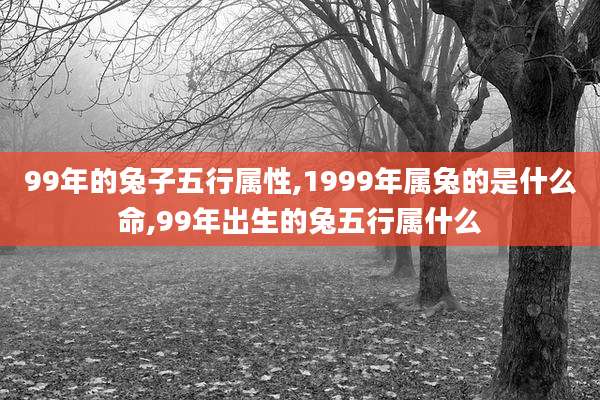 99年的兔子五行属性,1999年属兔的是什么命,99年出生的兔五行属什么