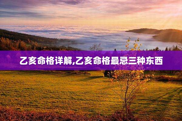 乙亥命格详解,乙亥命格最忌三种东西