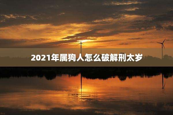 2021年属狗人怎么破解刑太岁