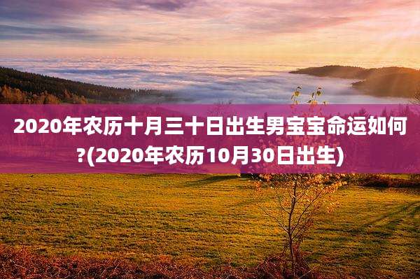 2020年农历十月三十日出生男宝宝命运如何?(2020年农历10月30日出生)