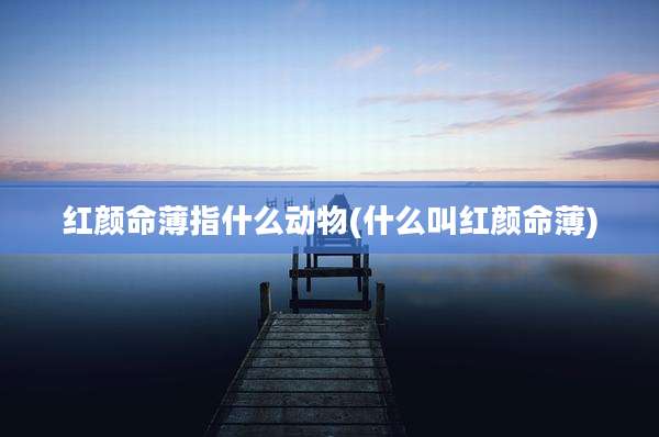 红颜命薄指什么动物(什么叫红颜命薄)