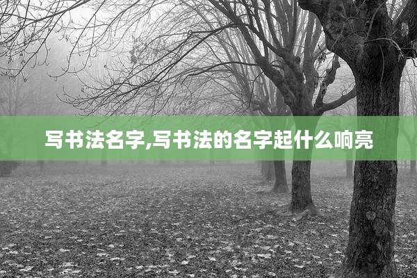 写书法名字,写书法的名字起什么响亮