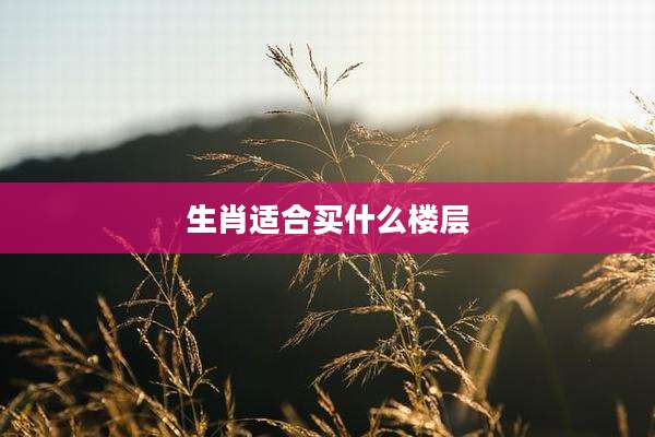 生肖适合买什么楼层