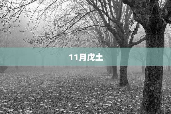 11月戊土