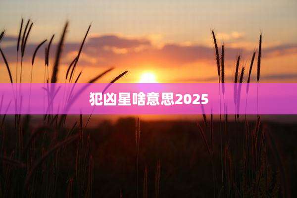 犯凶星啥意思2025