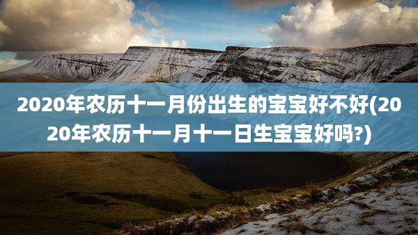 2020年农历十一月份出生的宝宝好不好(2020年农历十一月十一日生宝宝好吗?)