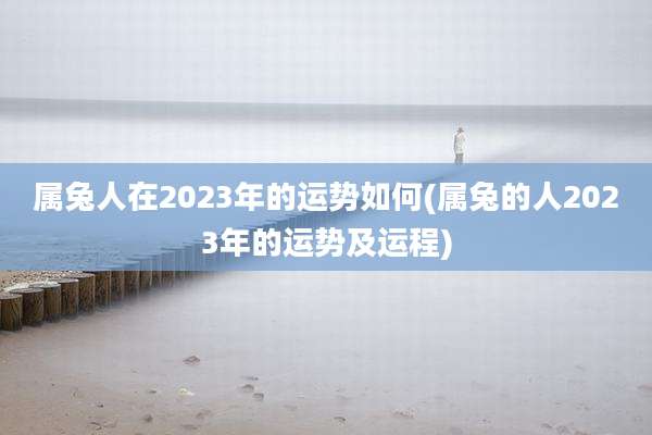 属兔人在2023年的运势如何(属兔的人2023年的运势及运程)
