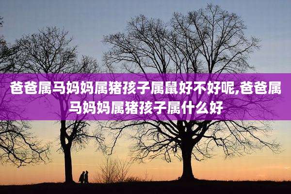 爸爸属马妈妈属猪孩子属鼠好不好呢,爸爸属马妈妈属猪孩子属什么好