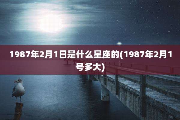 1987年2月1日是什么星座的(1987年2月1号多大)