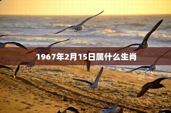 1967年2月15日属什么生肖
