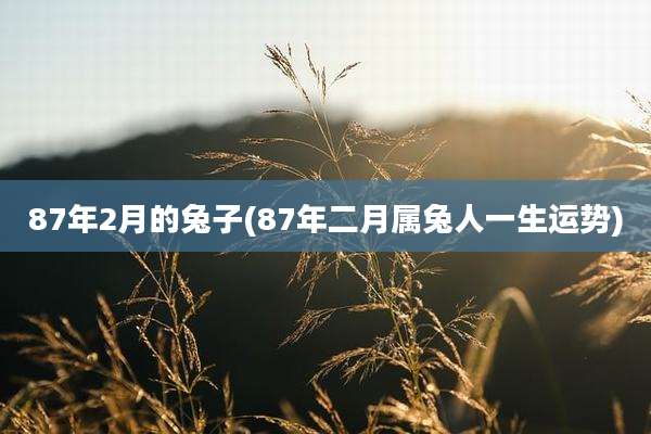 87年2月的兔子(87年二月属兔人一生运势)