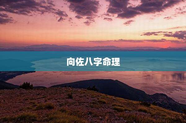 向佐八字命理