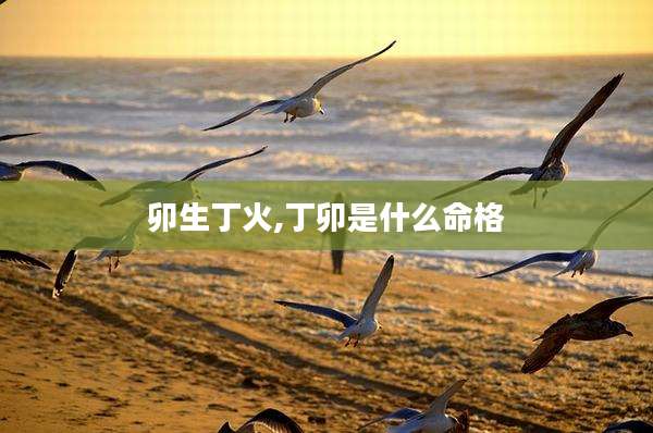 卯生丁火,丁卯是什么命格