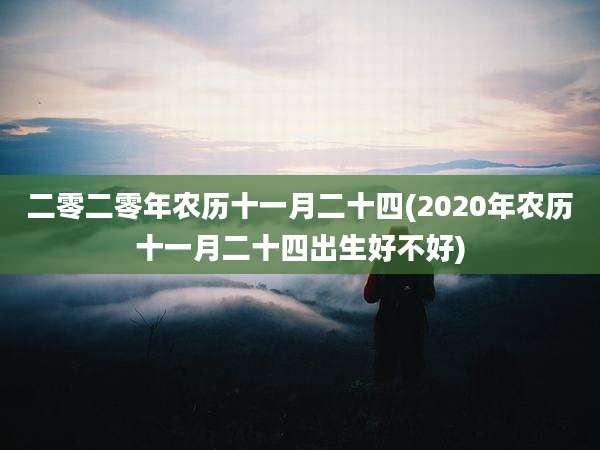 二零二零年农历十一月二十四(2020年农历十一月二十四出生好不好)