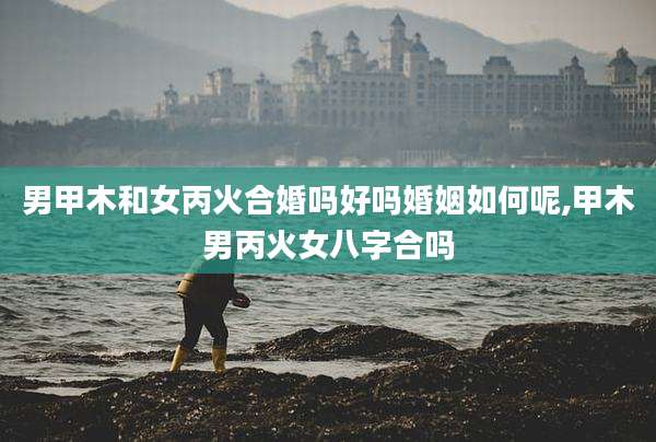 男甲木和女丙火合婚吗好吗婚姻如何呢,甲木男丙火女八字合吗