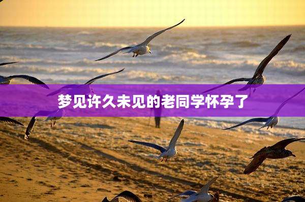 梦见许久未见的老同学怀孕了