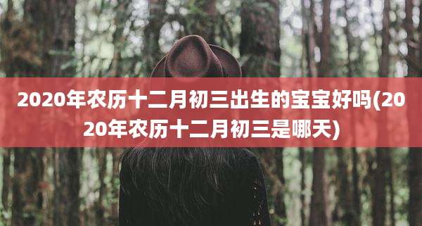 2020年农历十二月初三出生的宝宝好吗(2020年农历十二月初三是哪天)