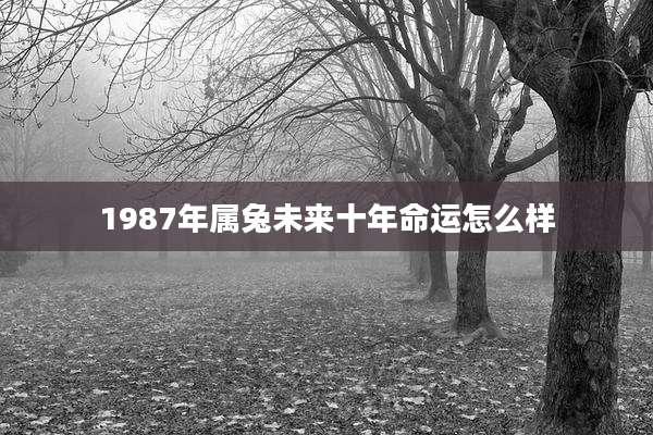 1987年属兔未来十年命运怎么样