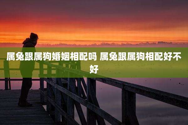 属兔跟属狗婚姻相配吗 属兔跟属狗相配好不好