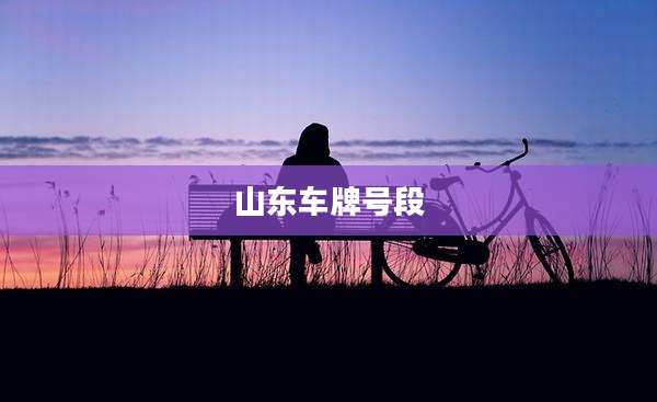 山东车牌号段