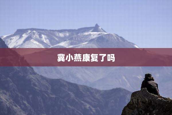 冀小燕康复了吗