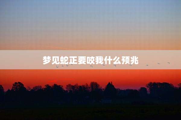 梦见蛇正要咬我什么预兆