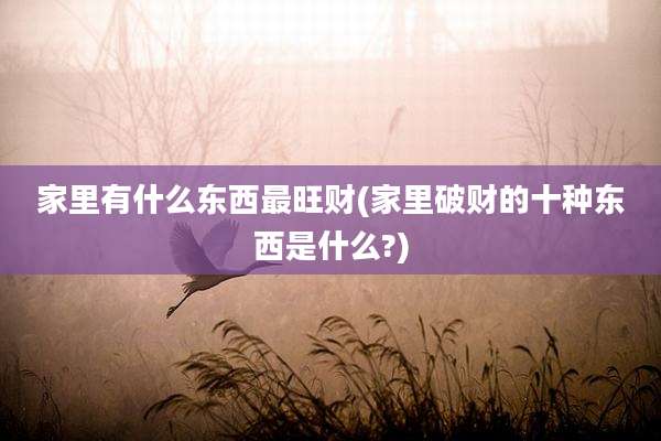 家里有什么东西最旺财(家里破财的十种东西是什么?)